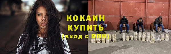 бошки Бронницы