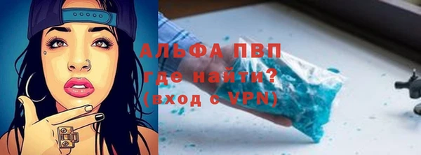 амф Бородино