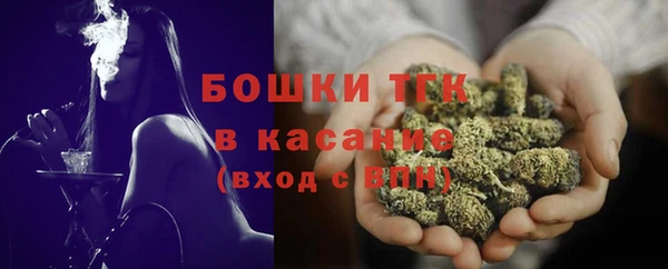 амф Бородино