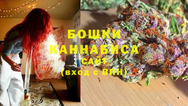 амф Бородино