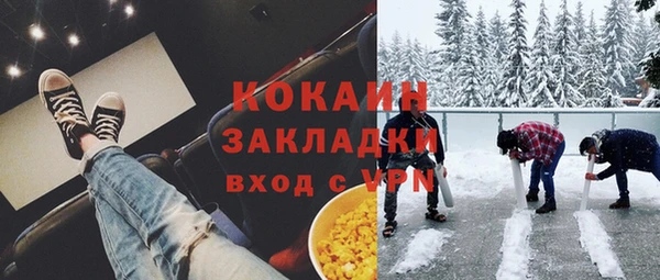бошки Бронницы