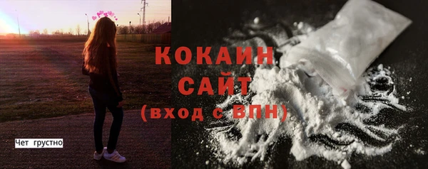 бошки Бронницы