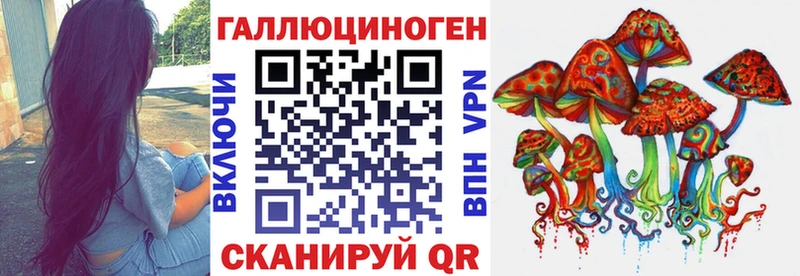 наркота  Чудово  Псилоцибиновые грибы Magic Shrooms 